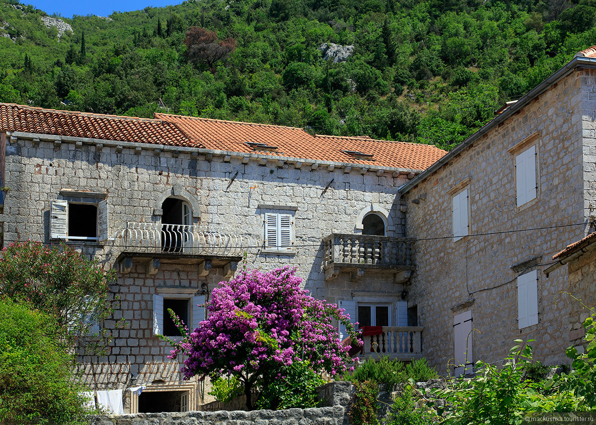Perast